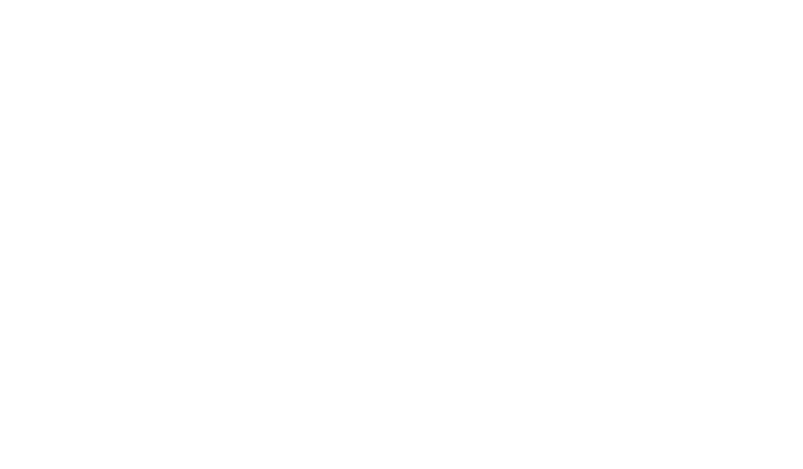 Insane Slave
